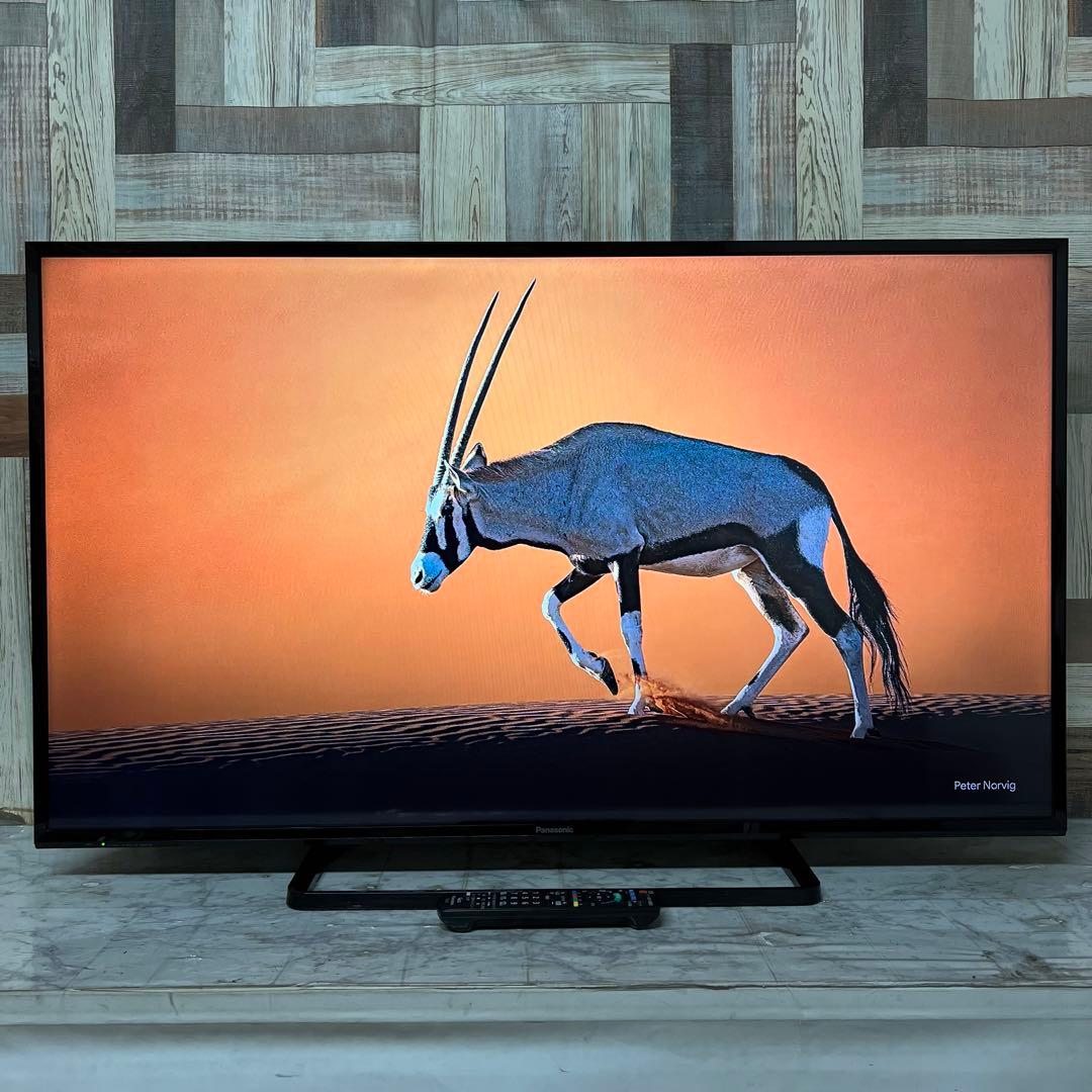 即日受渡❣️全国送料込パナソニック49V型地上デジタルBSCSテレビWチューナー