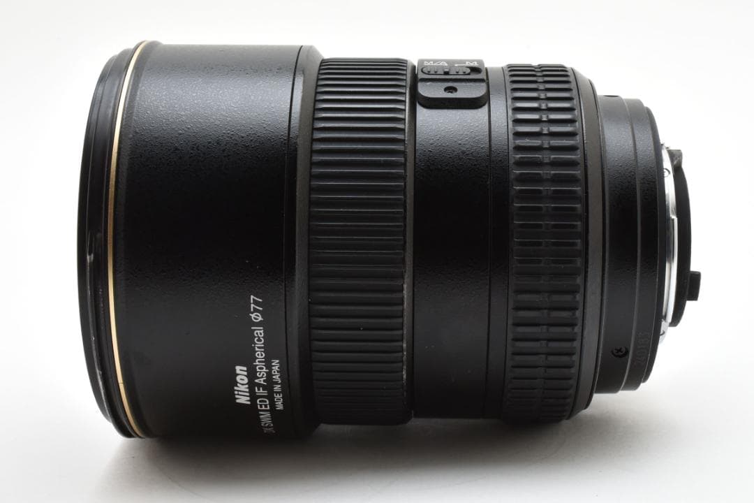 ★美品★ニコン Nikon DX 17-55mm f2.8 G #1317