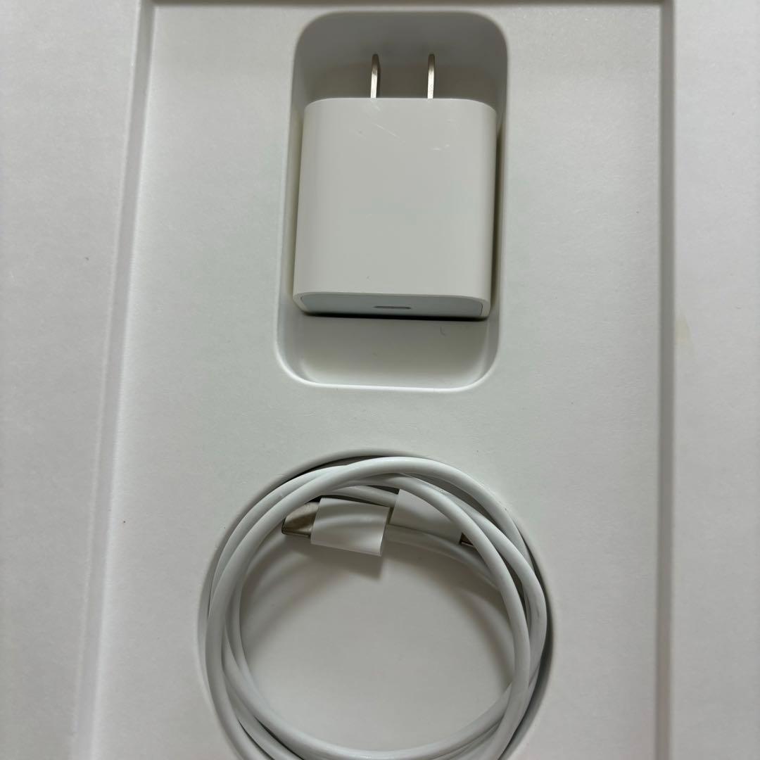 【Apple pencil付】iPadPro11 第2世代 128G WiFi