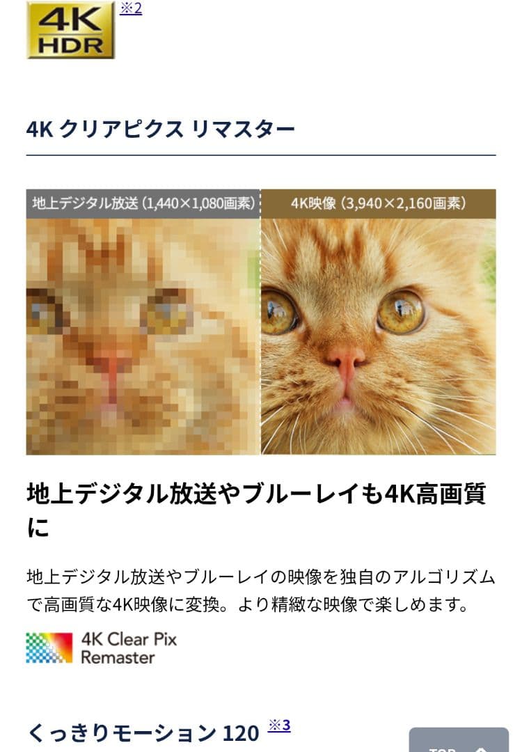 【Firetvstick 4K Max付属／2022年製】43型液晶テレビ