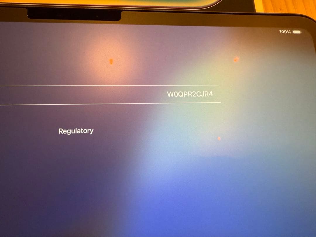 大隈iPadPro11インチ第5世代 (M4) 256GB WiFiモデル