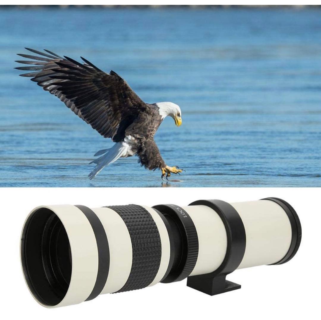 1600まで見える！？Nikonカメラをお持ちの方におすすめ！安心サポート付き！