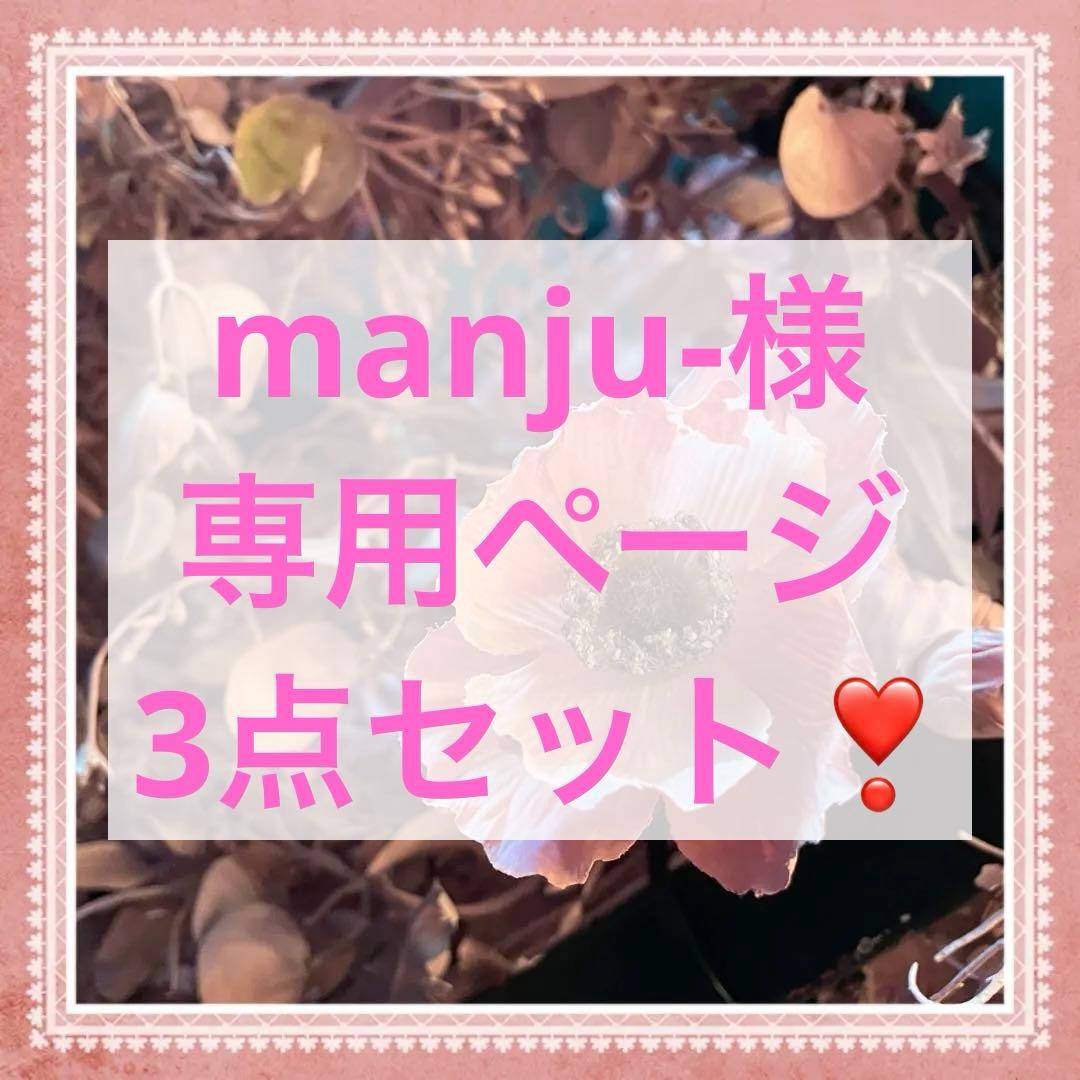 Triumph アモスタイルきゅっと寄せブラ 上下セットF65❣️レッド︎✿·͜·素敵