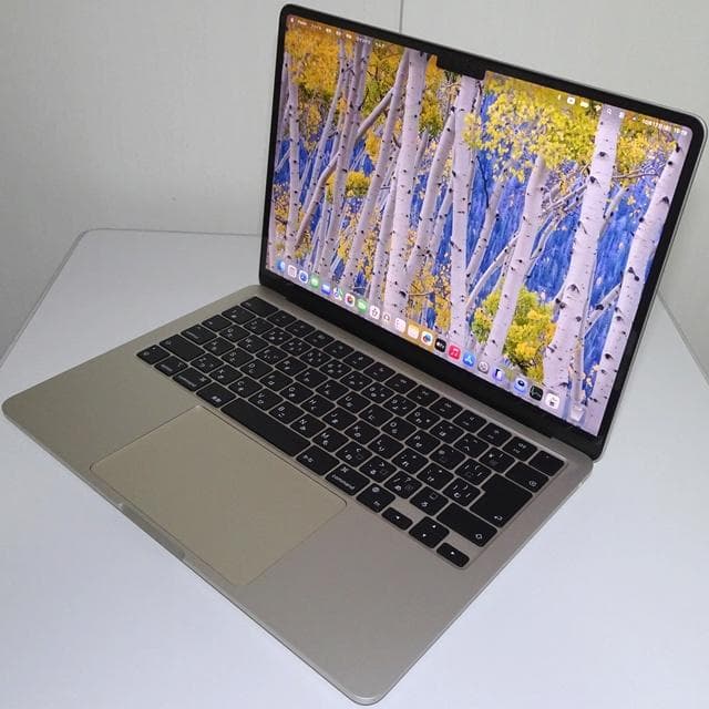 【美品】MacBook Air 13 2022_M2/8GB/256GB_STL