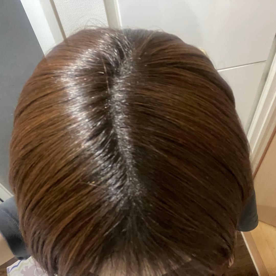 【即購入可】ピンクエイジ アリスストレート ブラウングラデーション