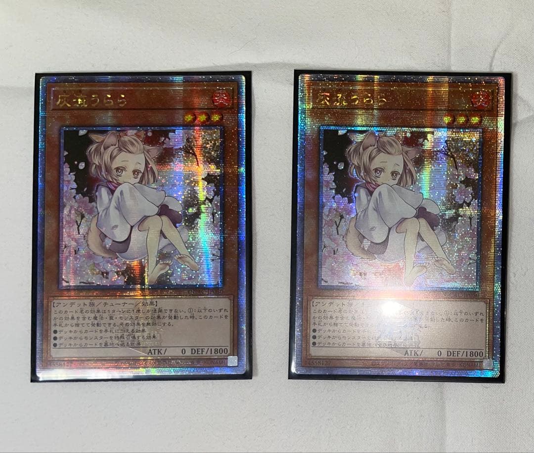 遊戯王　灰流うらら　絵違い　アジア 2枚