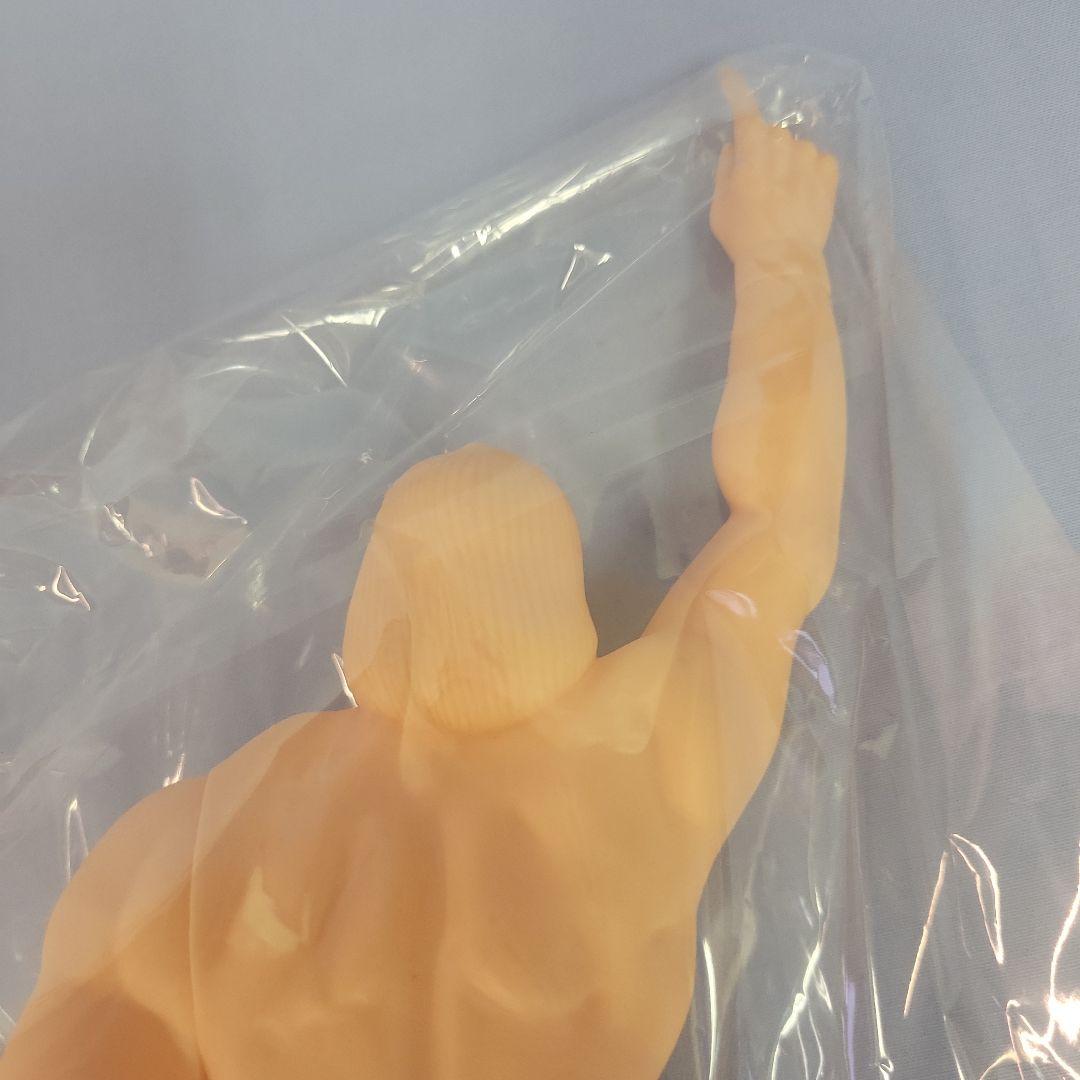 ニットー1/6 レトロフィギア ハルクホーガン