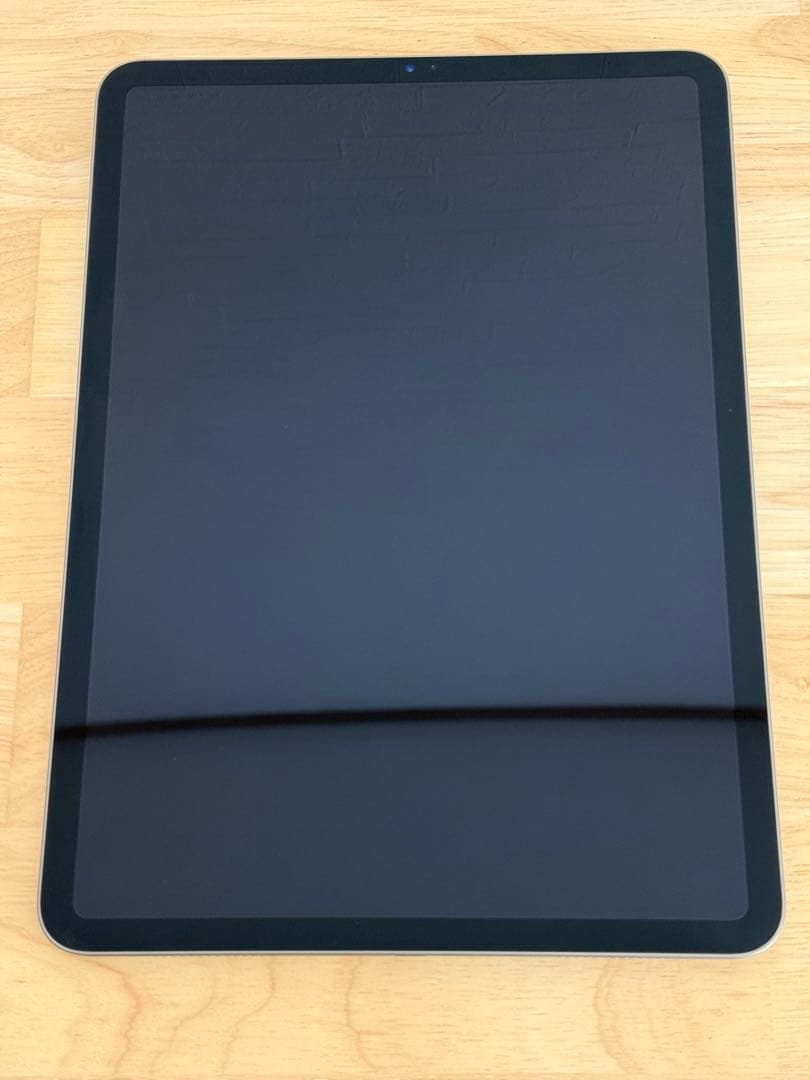 iPad Pro 11インチ (第1世代) Wi-Fi 256GBスペースグレイ