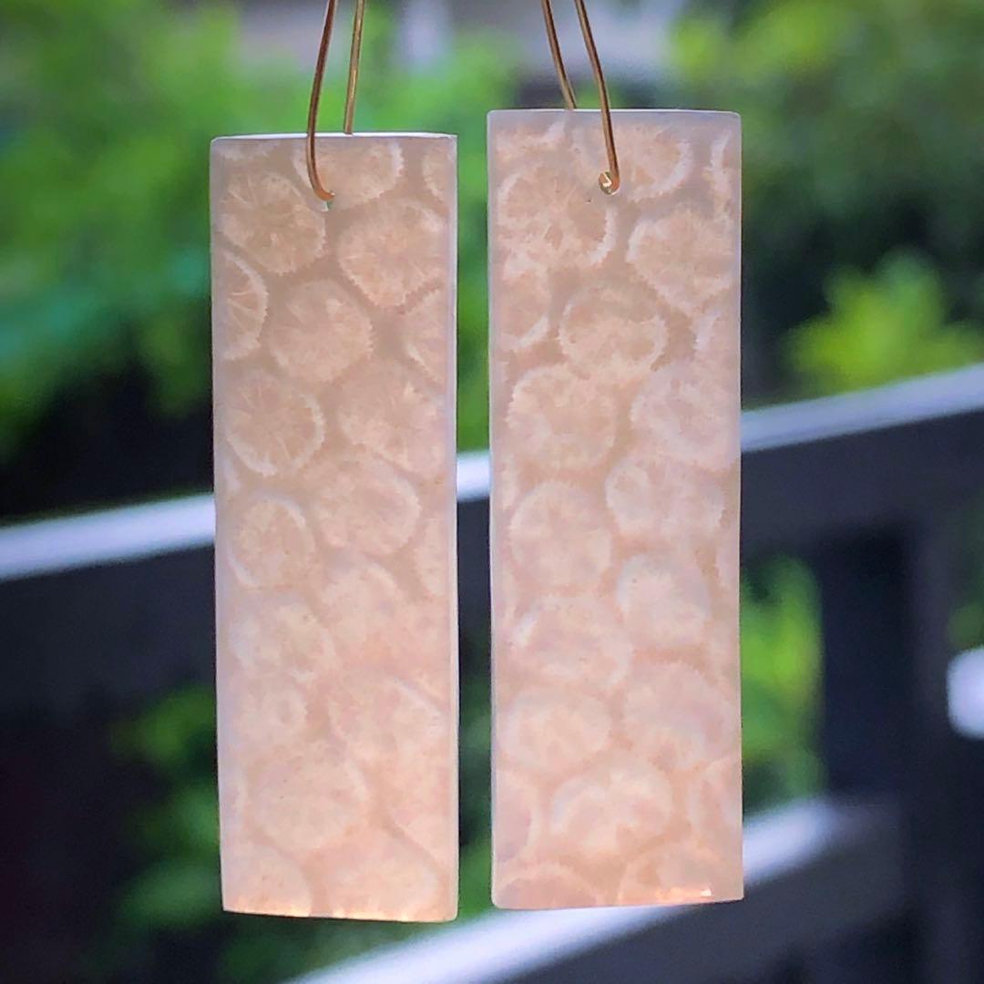 天然石♡フォッシルコーラルのピアス14kgf