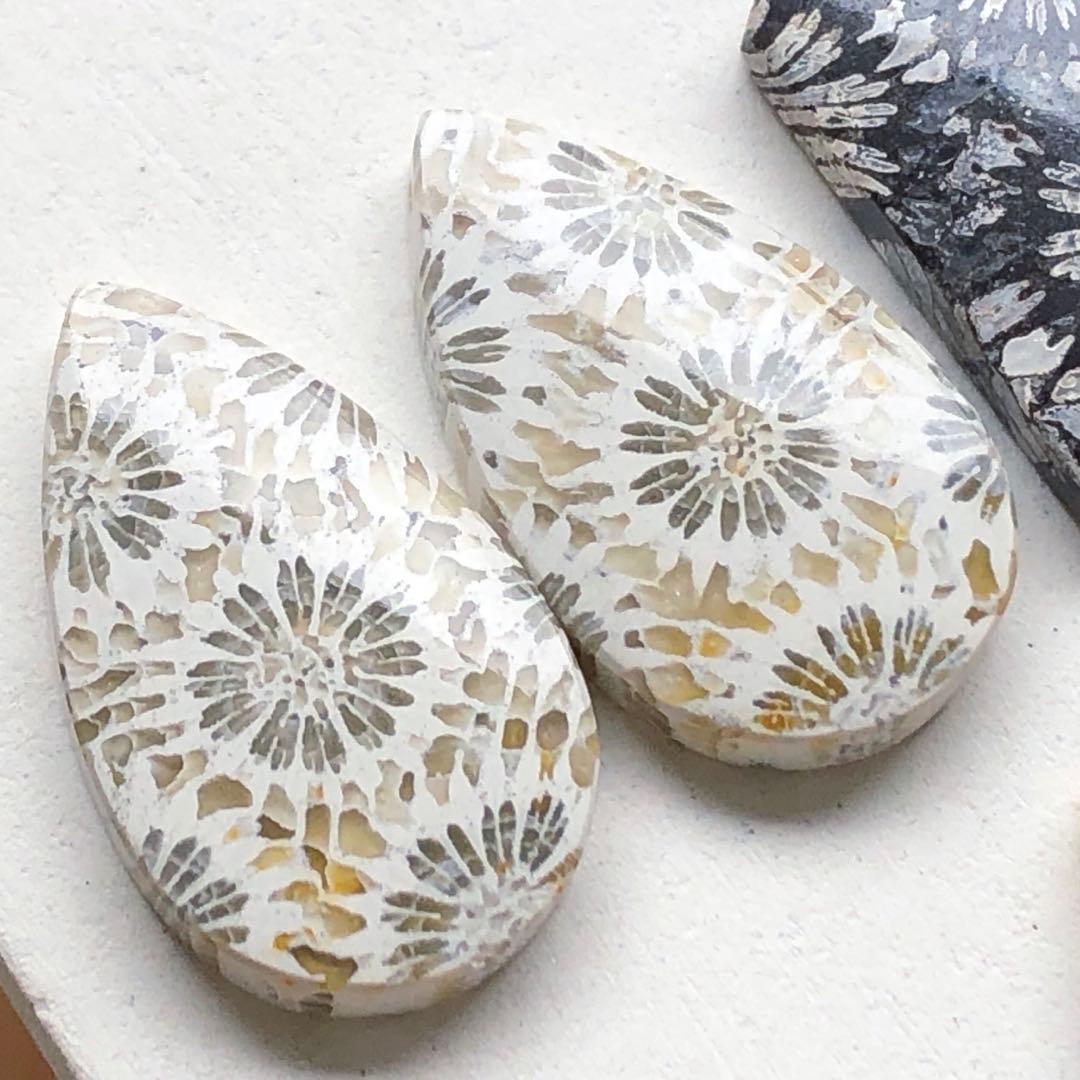 天然石♡フォッシルコーラルのピアス14kgf