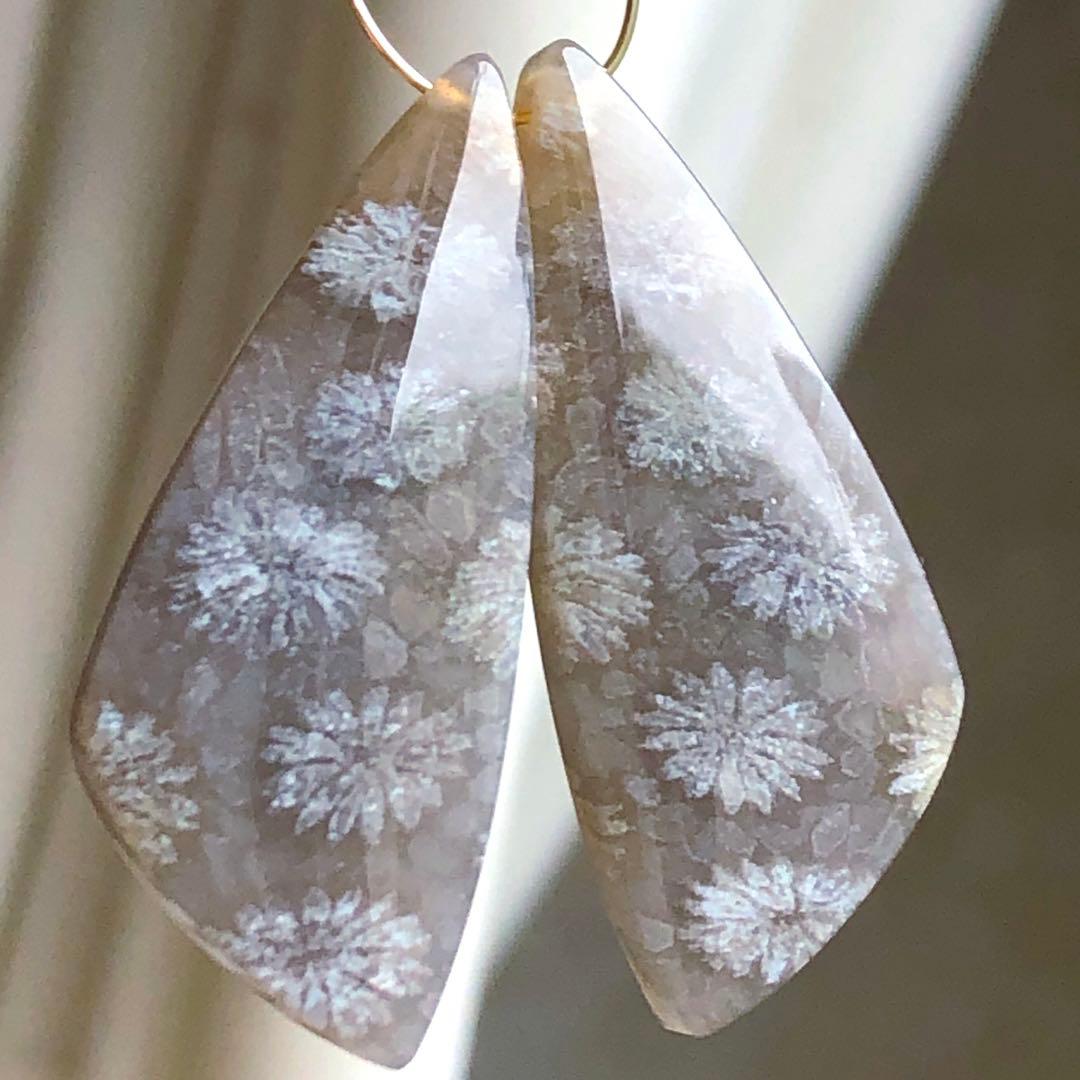 天然石♡フォッシルコーラルのピアス14kgf