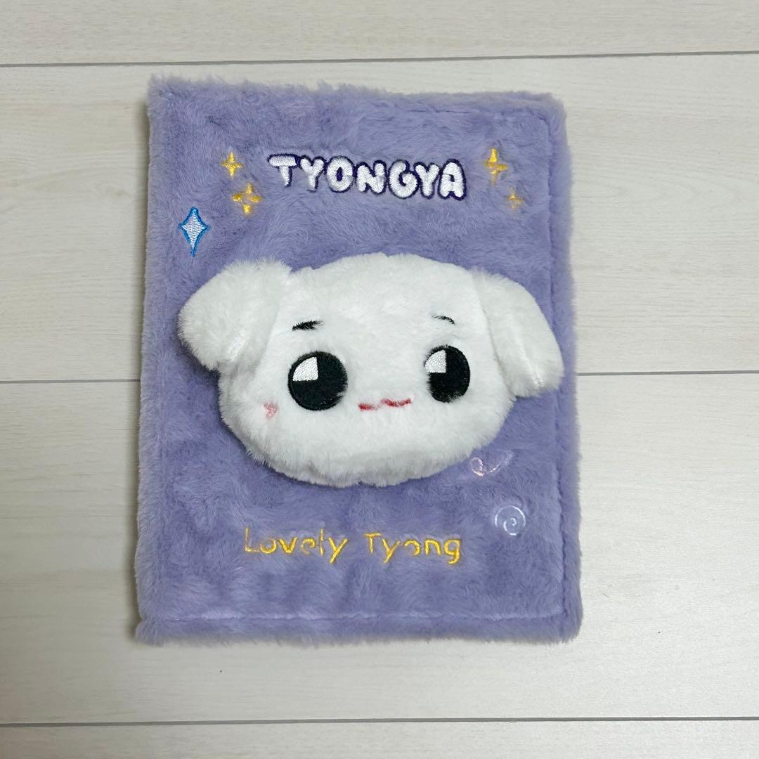 NCT テヨン テョンヤ コレクトブック バインダー