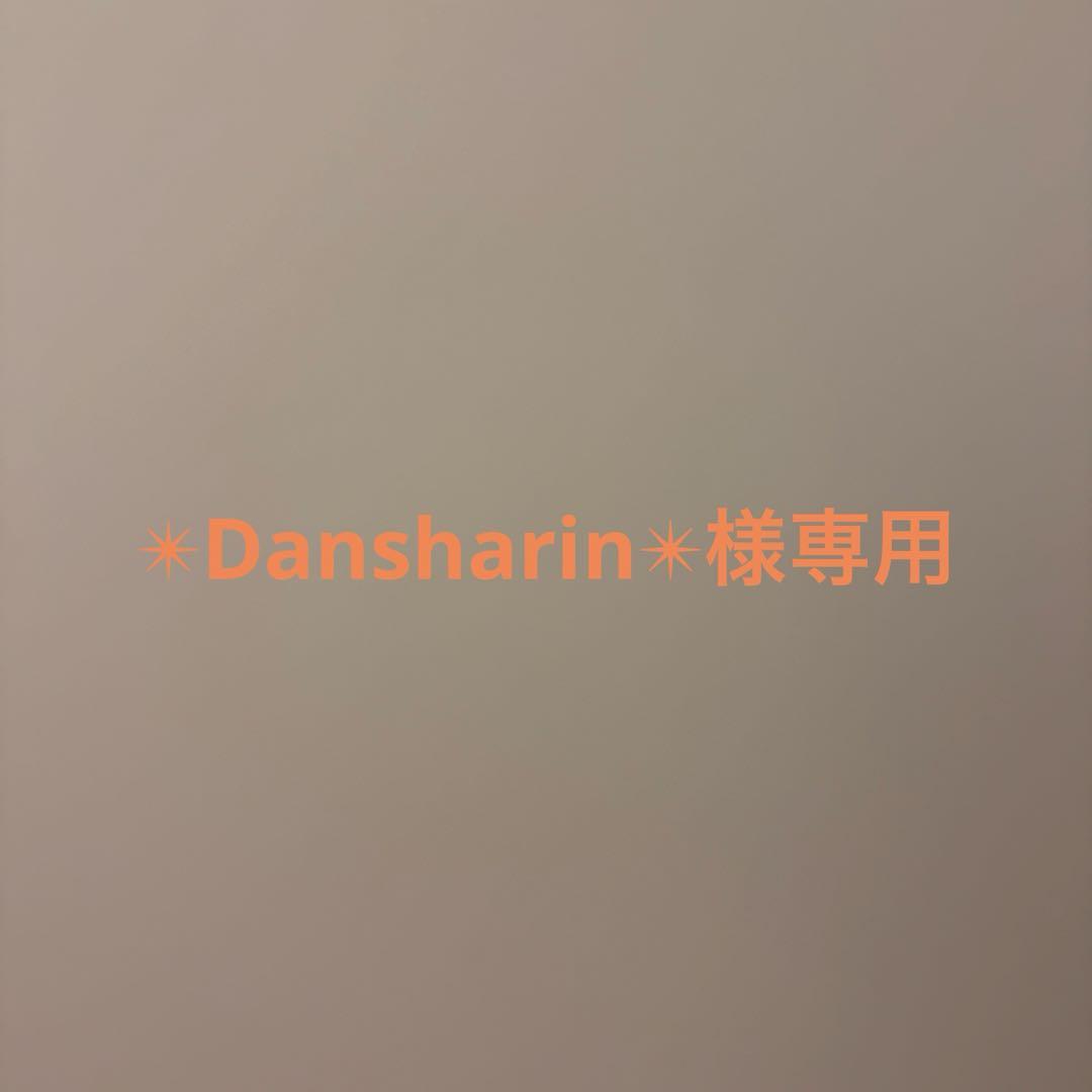 SONY α6300ミラーレス一眼カメラ　レンズ3個　その他 ショット数3733