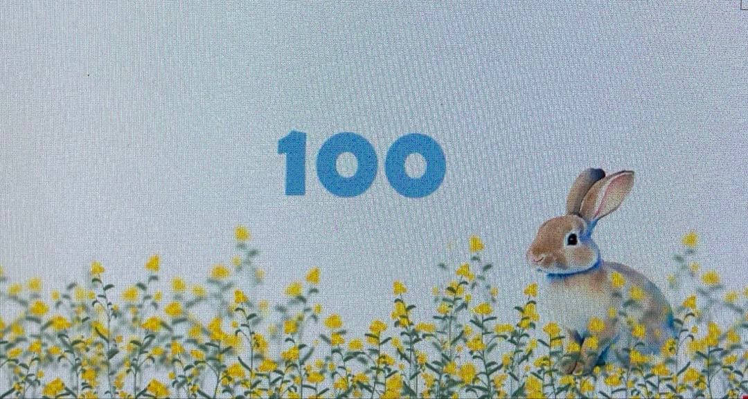 セービングチャレンジ　貯金　 家計簿　リフィル　貯金ボックス　duffy❦