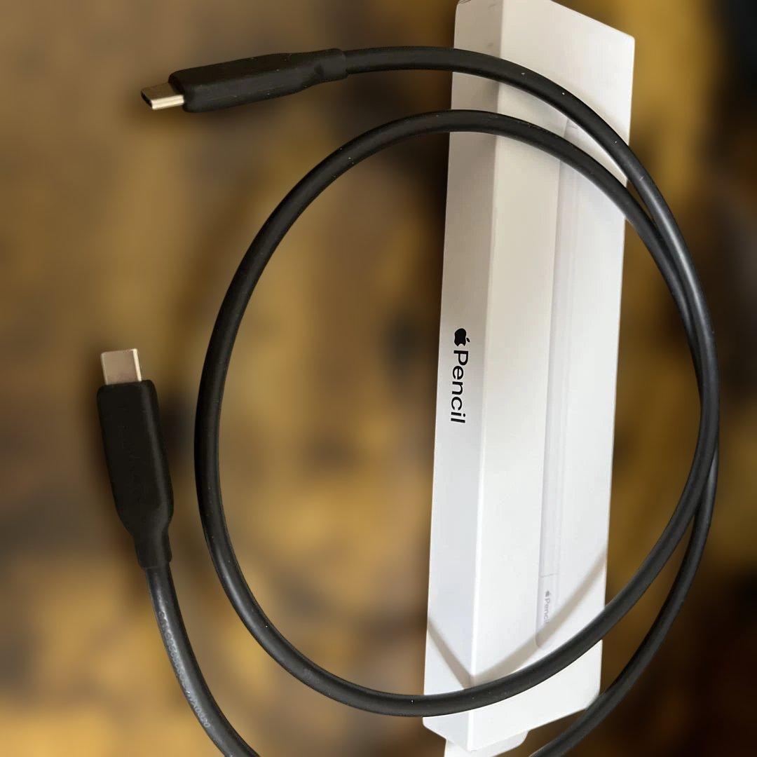 Apple Pencil(USB-C)アップルペンシル