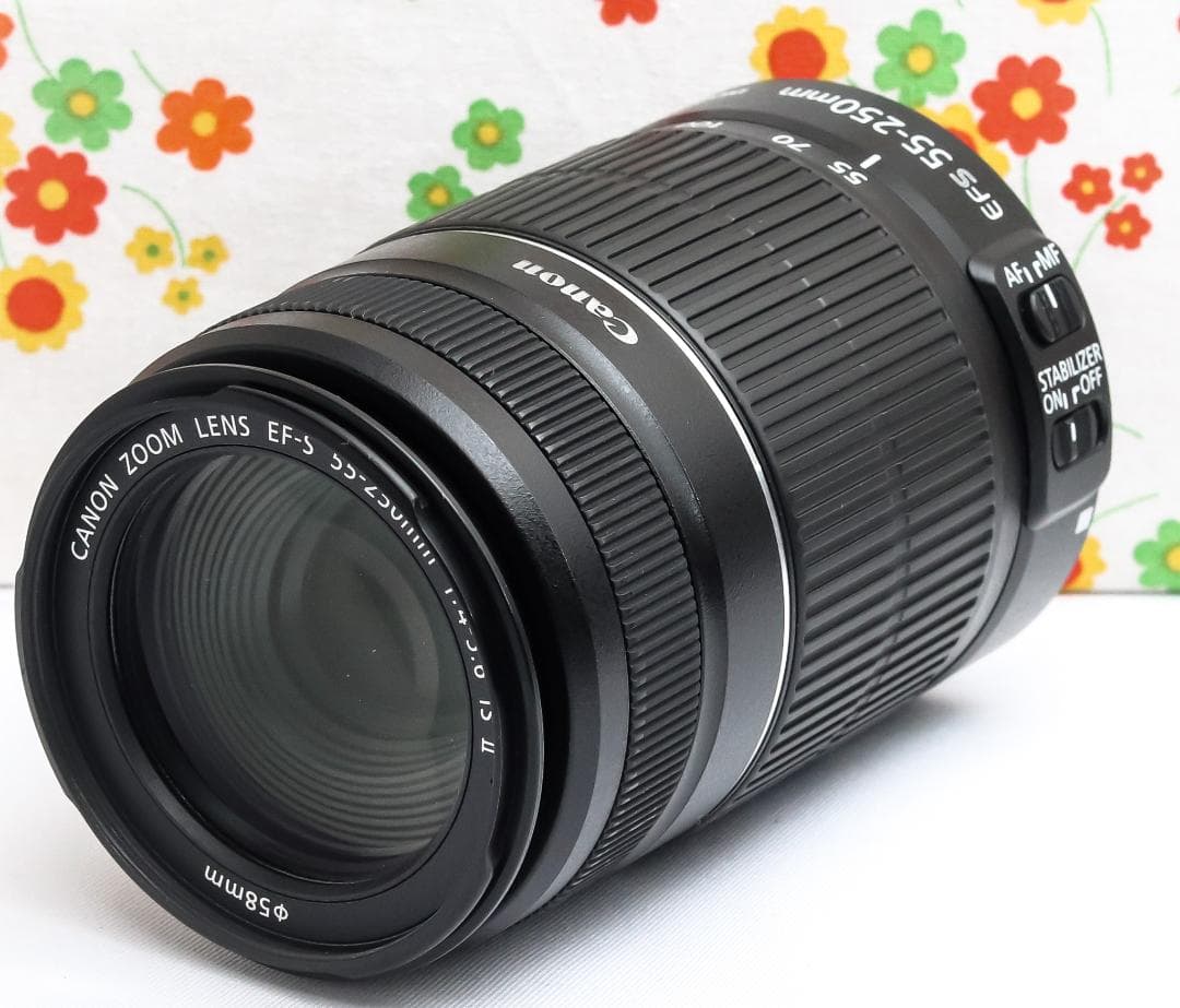 キャノン Canon EF-S 55-250mm IS Ⅱ☆手振れ付☆望遠レンズ