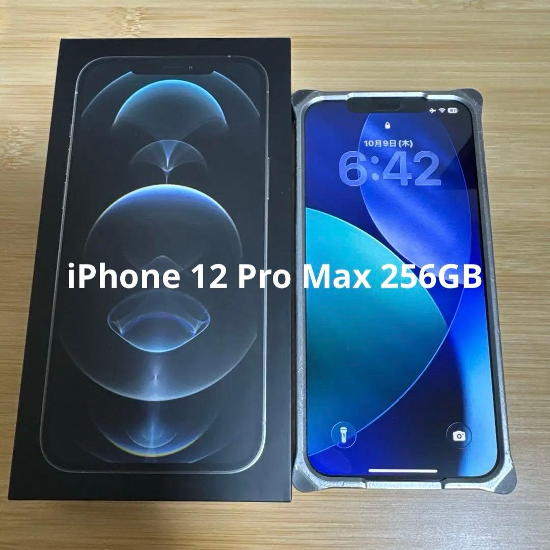 iPhone 12 Pro Max 256GB シルバー｜SIMフリー