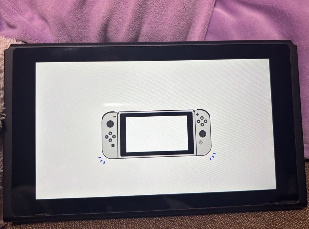 ニンテンドースイッチ Nintendo Switch 本体のみ ジャンク品