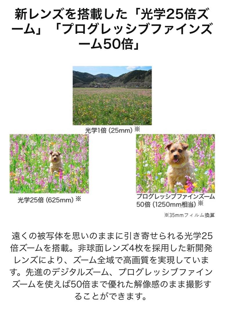 Canon コンパクトデジタルカメラ SX620HS ブラック キャノン　カメラ