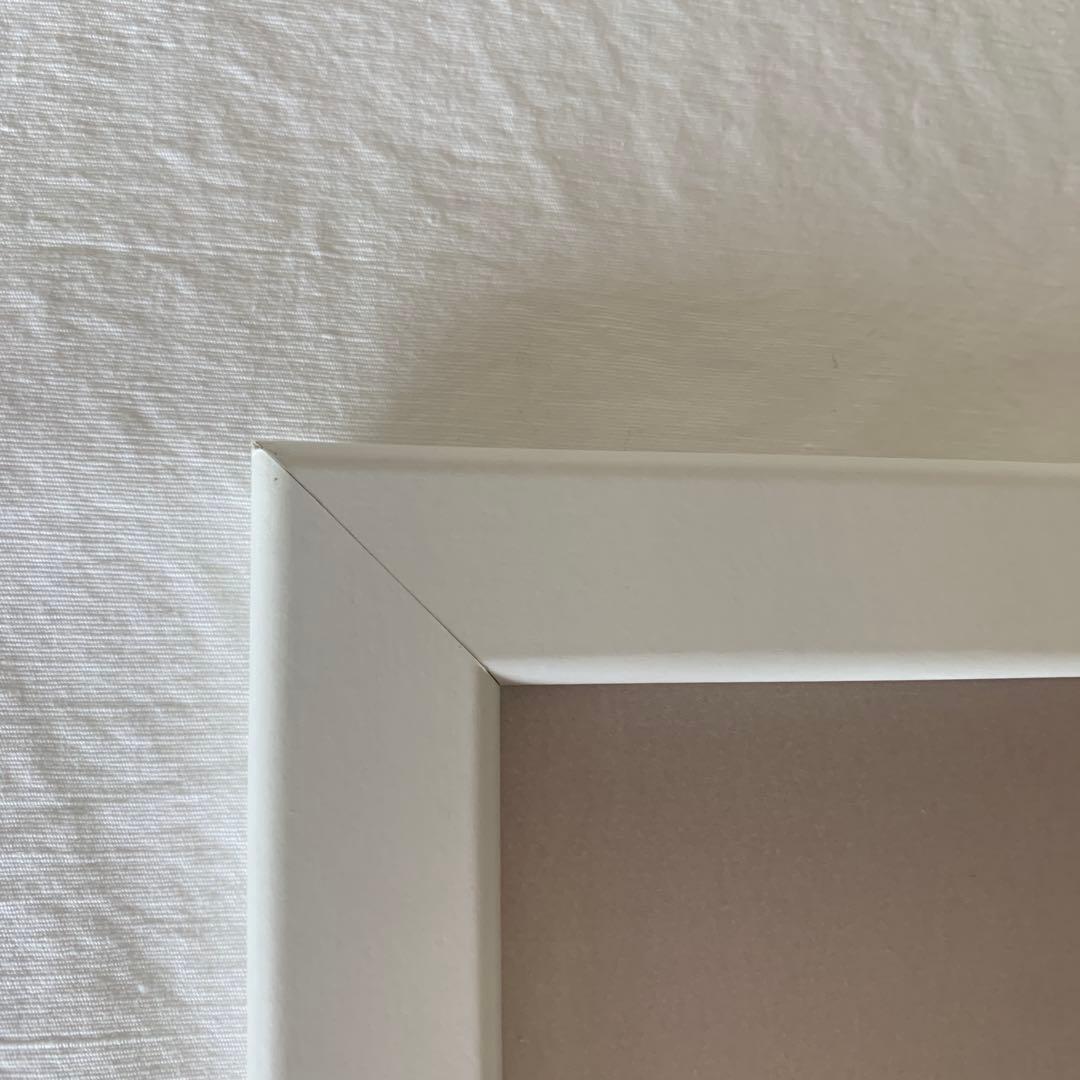 ハシヅメユウヤ　サイン入り