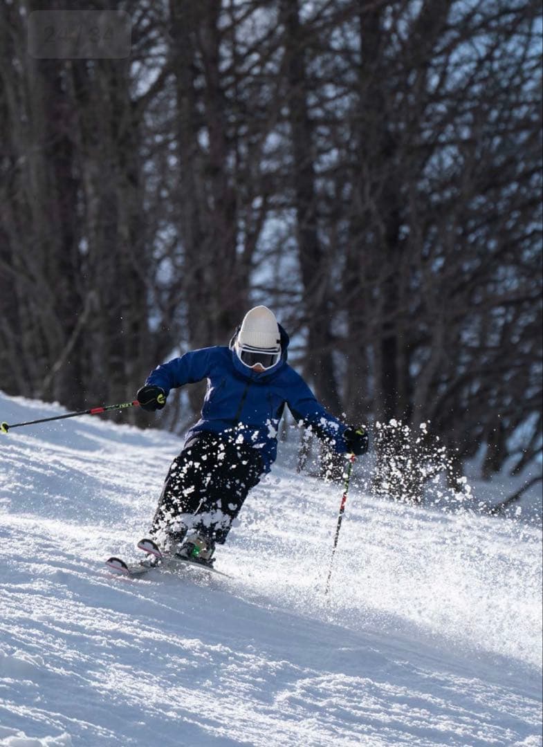 Goldwin パルテノスジャケット紫