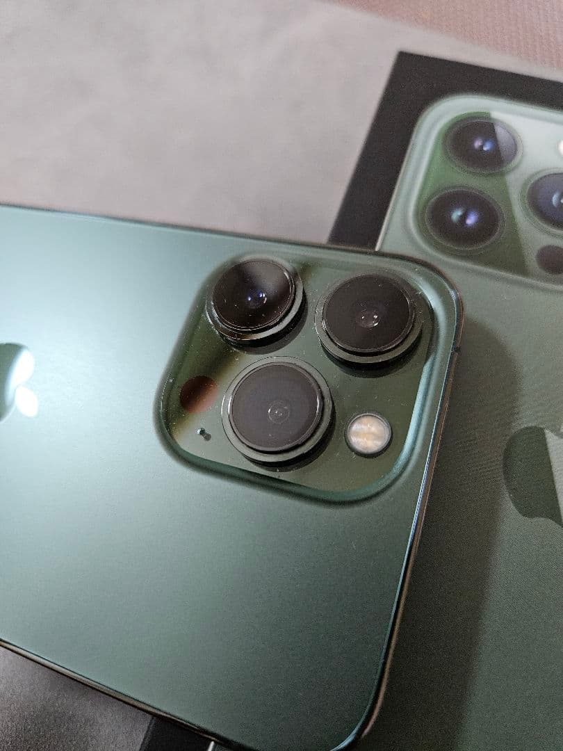 Apple iPhone 13 Pro グラファイト ケース付き