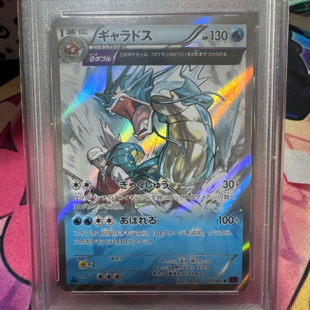 PSA10 ポケモンカード ギャラドス XY7 バンデットリング021/081