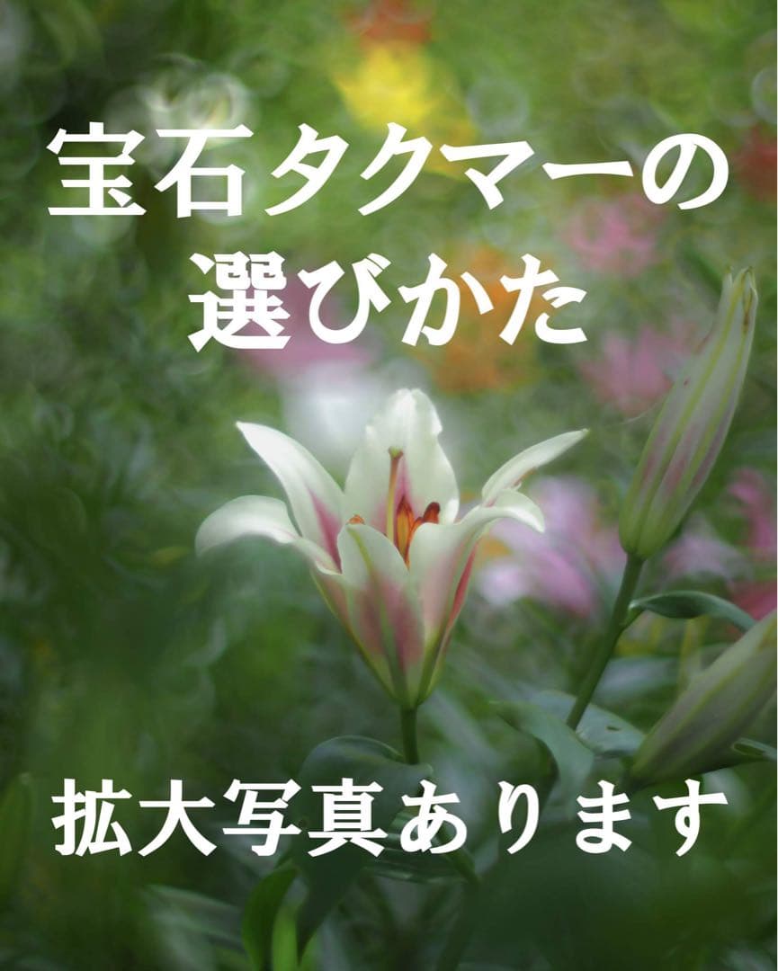 宝石レンズ_SMC_Takumar 55mm_f1.8_aw