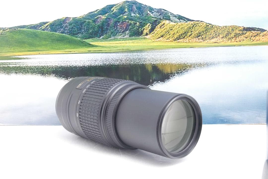ニコン Nikon AF-S 55-300mm F4.5-5.6G VR