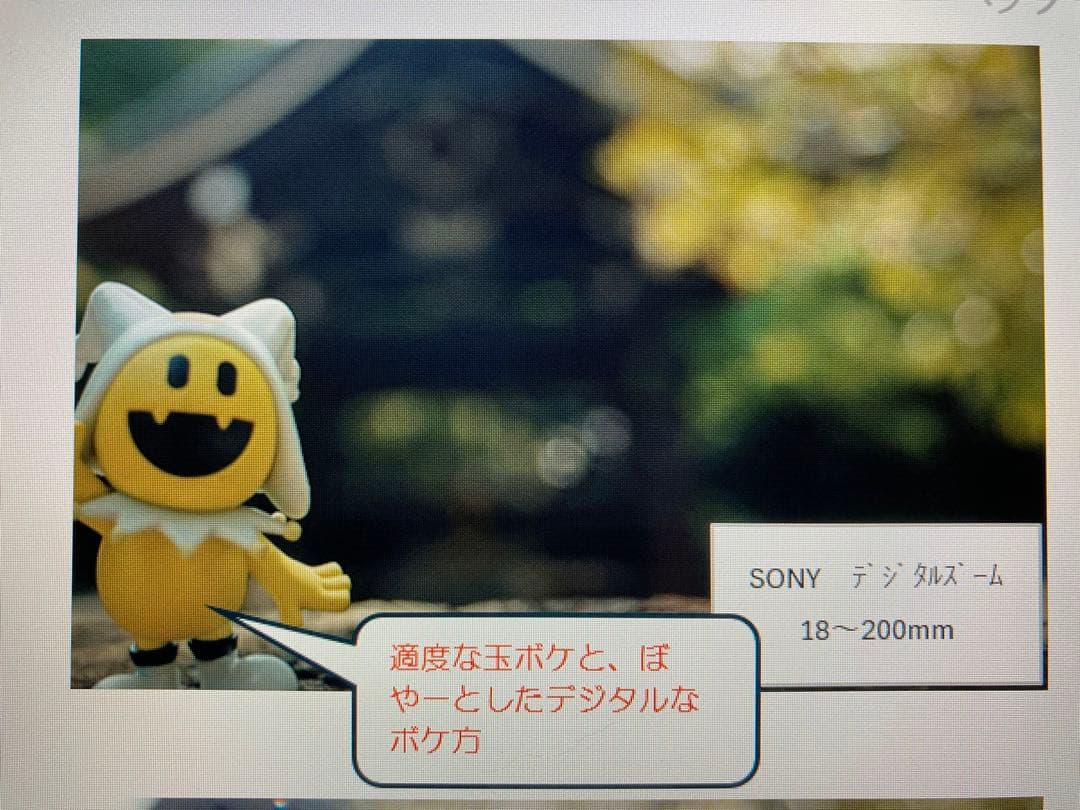 SONY αシリーズ ミラーレス一眼カメラ　α6000 ズームレンズ等満喫セット