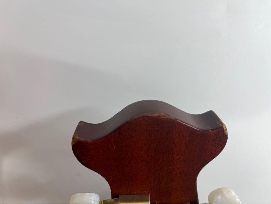 Morris tornado z2-HG エレアコ アコースティックギターアコギ