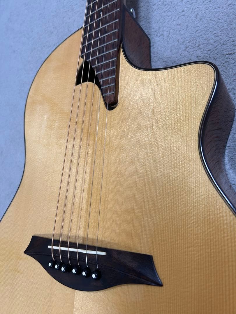 ギター Mayson PS-300