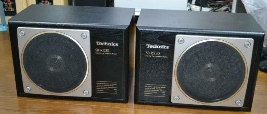 【美品】テクニクス SB-RX30（動作確認済みですが訳アリ）