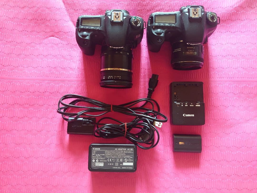 キヤノン キャノン Canon EOS 60D 2機 単焦点 ズームレンズ 純正