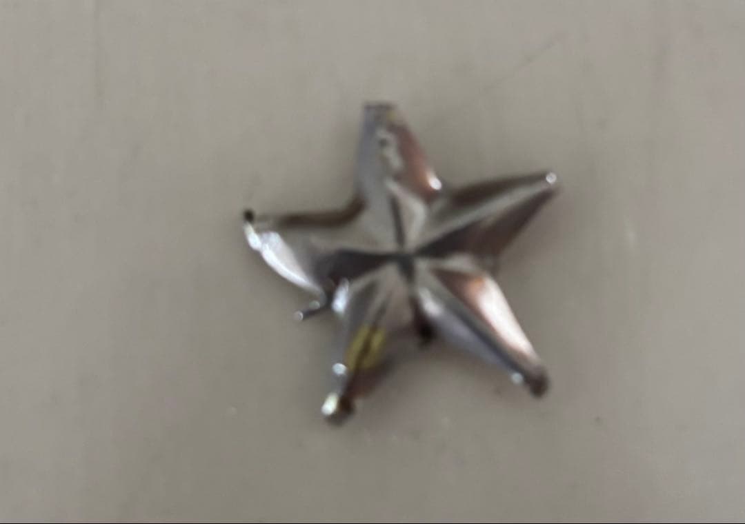 希少　WACKO MARIA CHARRO RASTRA ウルフズヘッド　茶芯