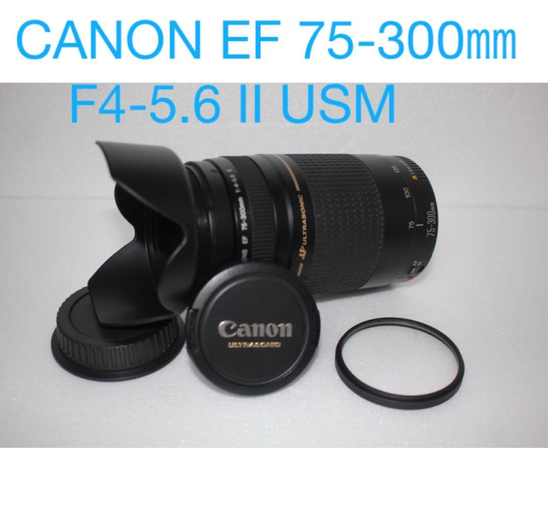 キヤノン/望遠レンズ/CANON EF 75-300㎜F4-5.6 II USM
