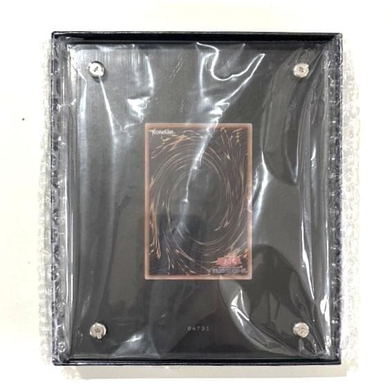 遊戯王 ステンレス製 ブラック・マジシャン・ガール【新品未使用】