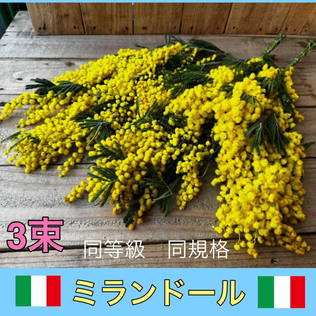 み様 リクエスト 2点 まとめ商品