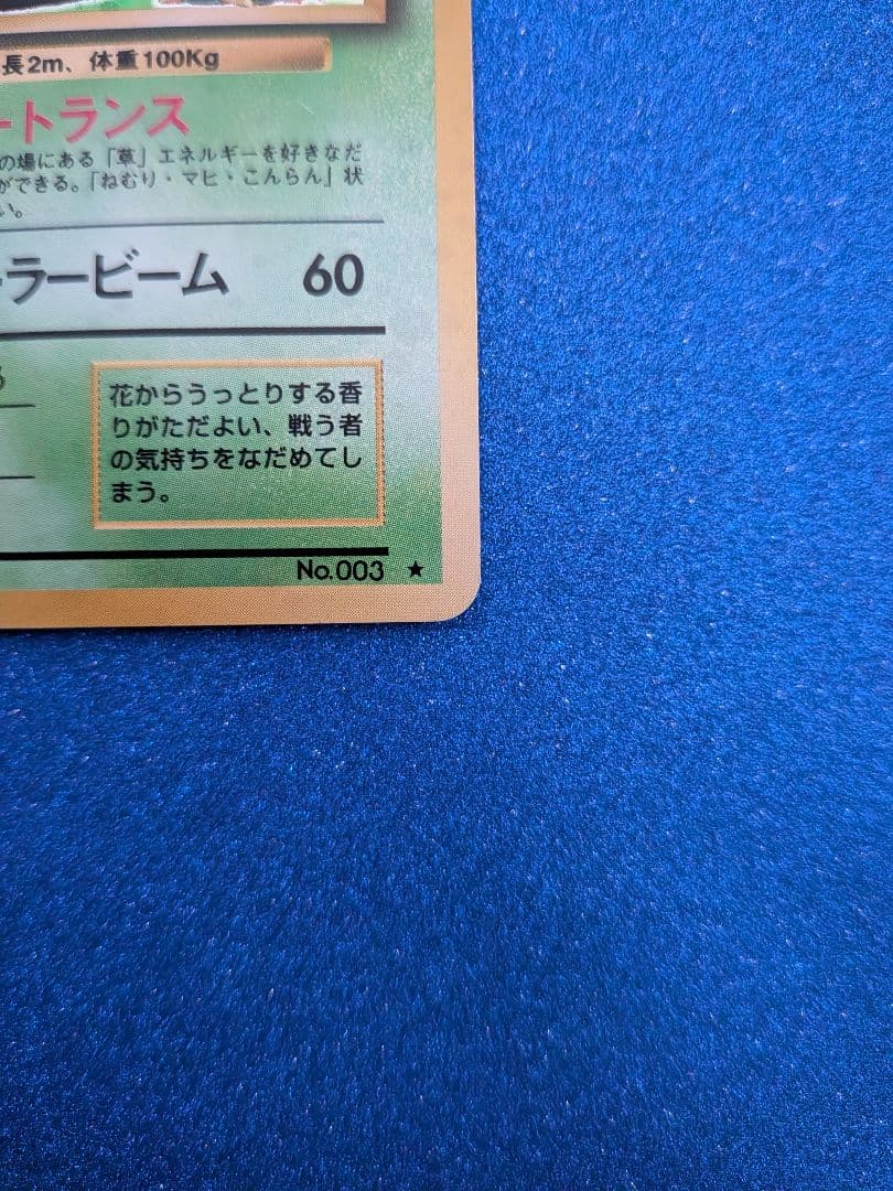 フシギバナ 旧裏