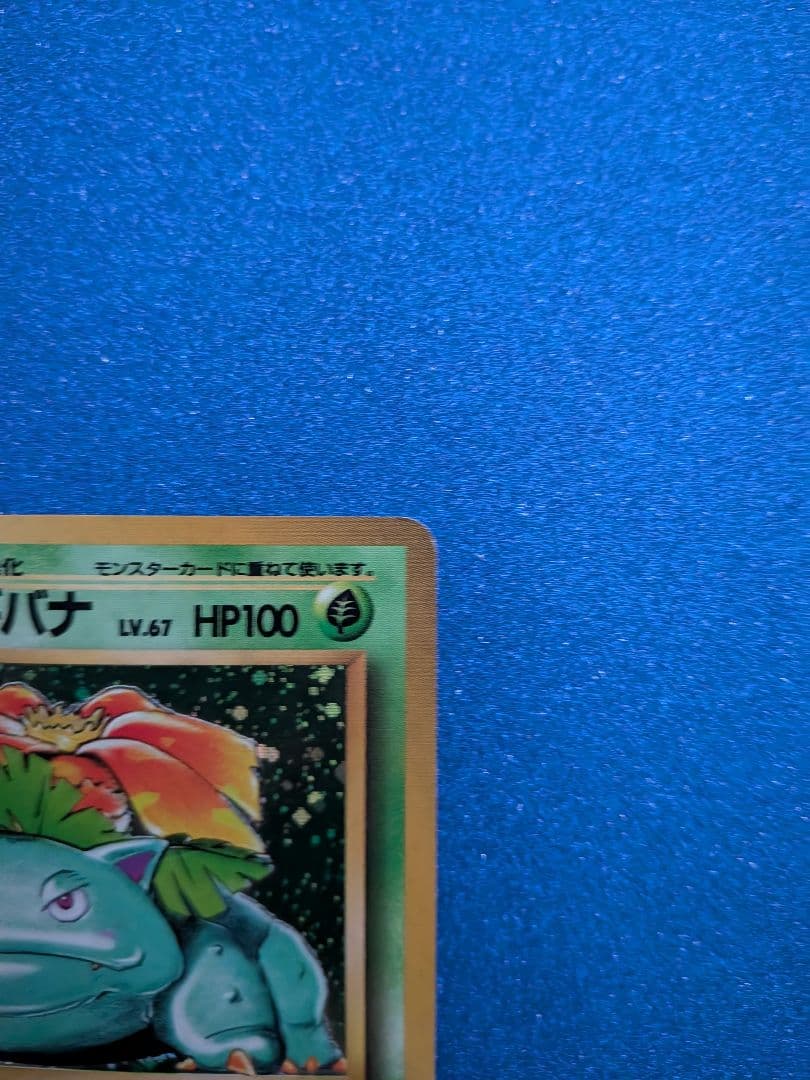 フシギバナ 旧裏