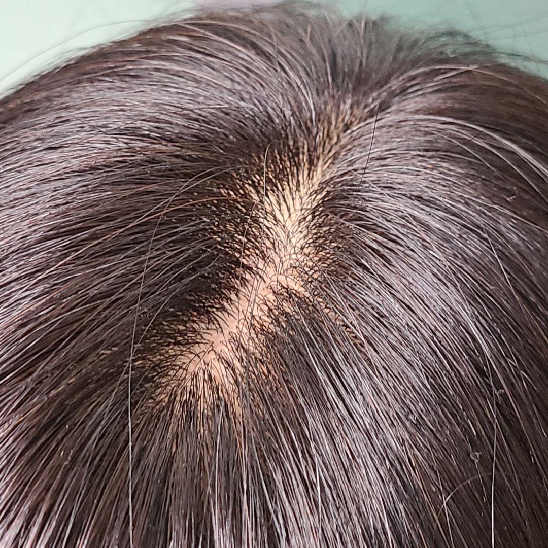 人毛100％　ロングウィッグ　ストレート　ナチュラルブラック