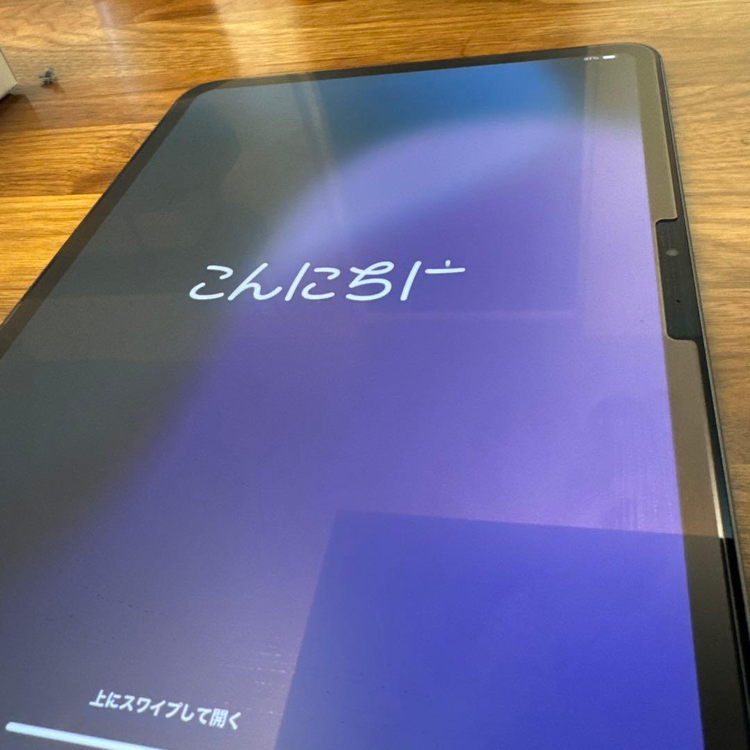 iPad Pro M4 Wi-Fi 11インチ 256GB