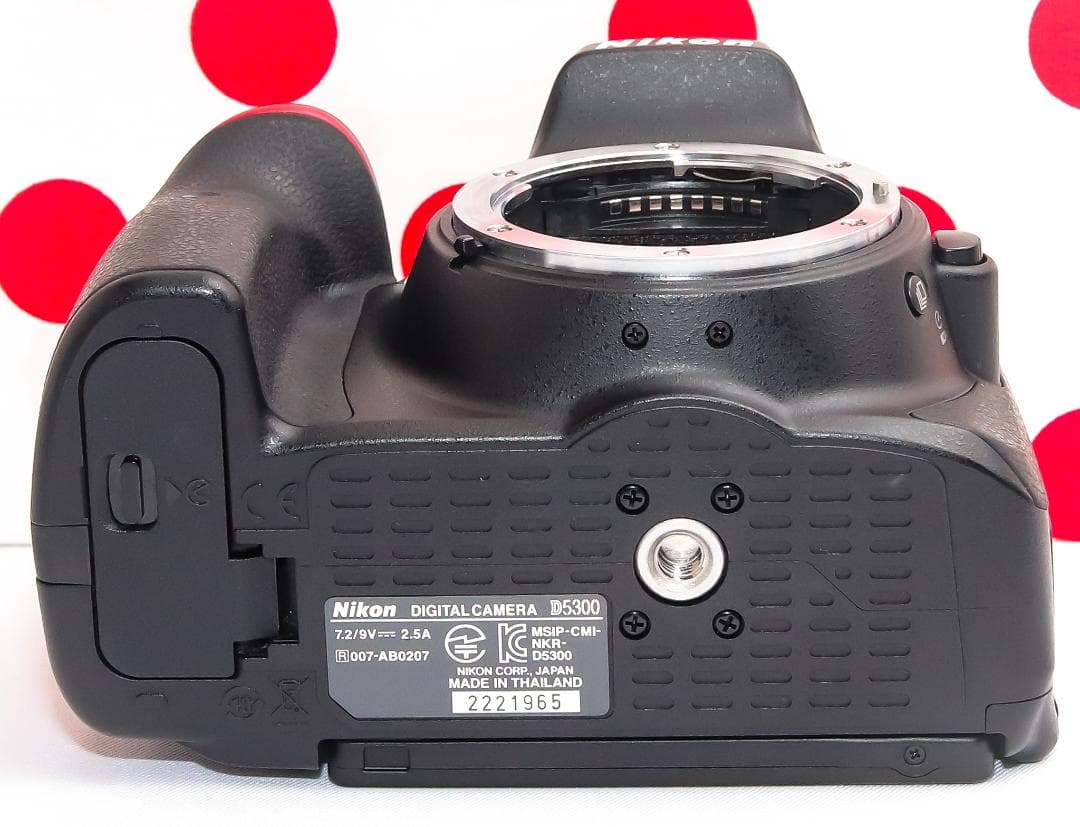 Nikon D5300❤スマホに転送❤Wi-Fi搭載❤動画＆自撮りラクラク！