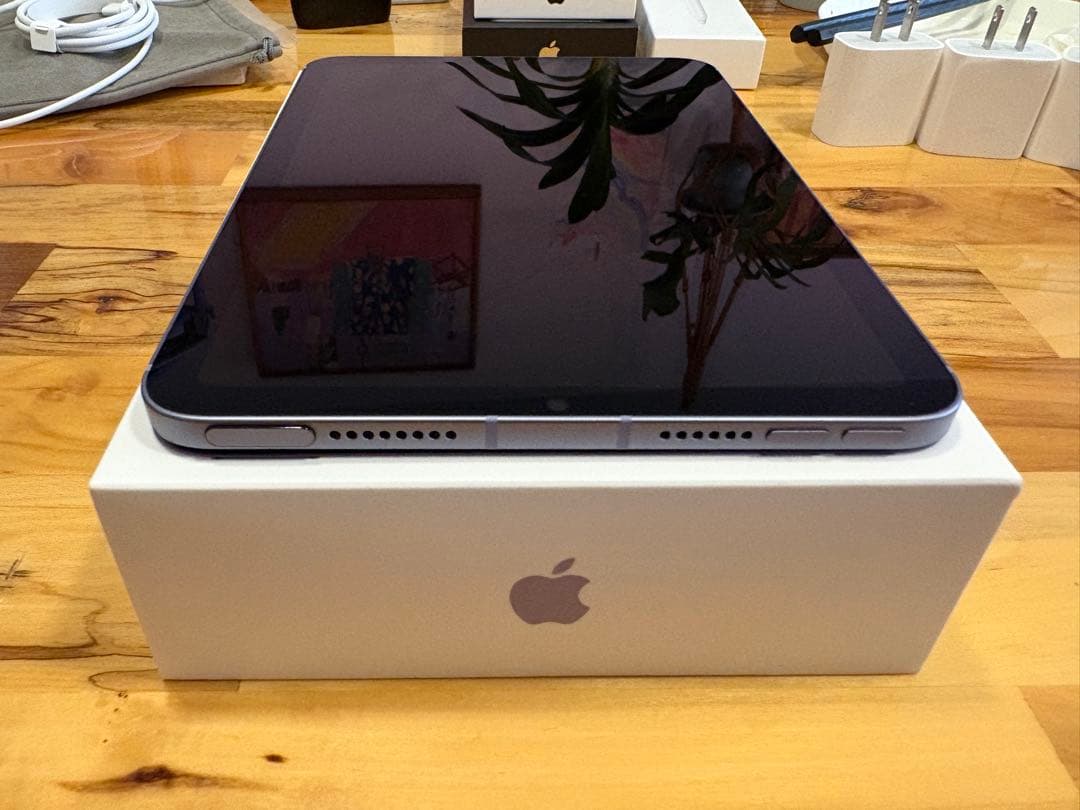 iPad本体 iPad mini6 256GB Cellular ,ApplePencil2