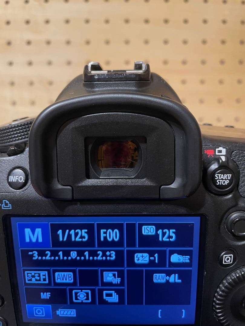 【シャッター回数約2万回】Canonキヤノン EOS 5D mark3 ボディ