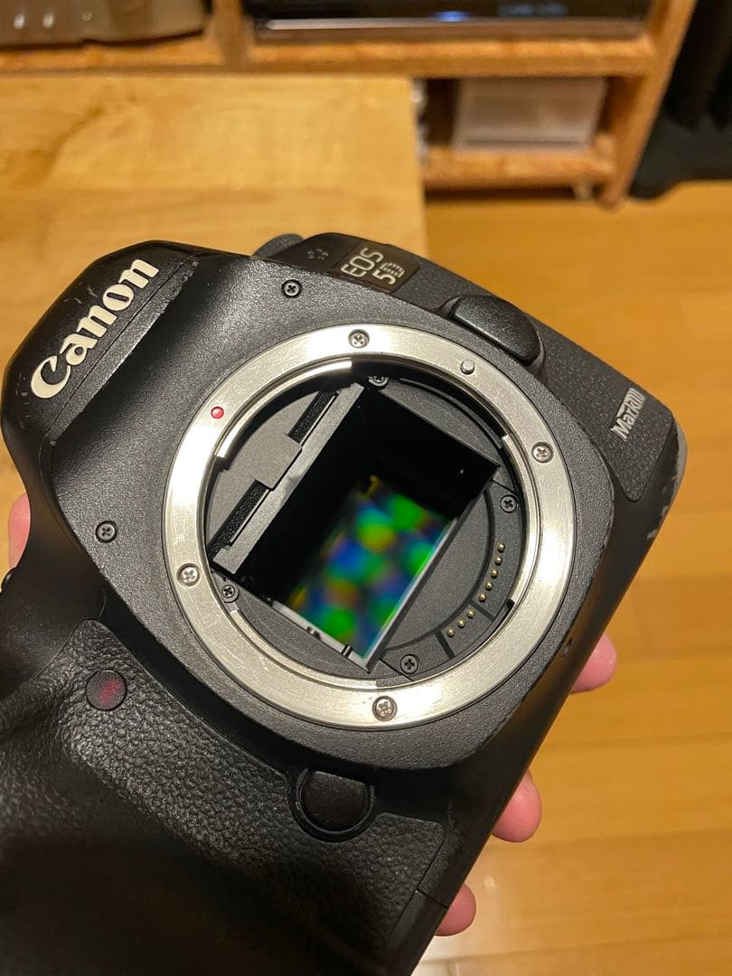 【シャッター回数約2万回】Canonキヤノン EOS 5D mark3 ボディ