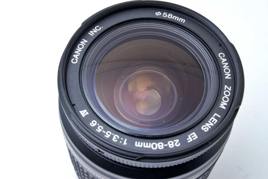 Canon Kiss Digital楽しく写真　簡単操作＆高画質　初心者OK