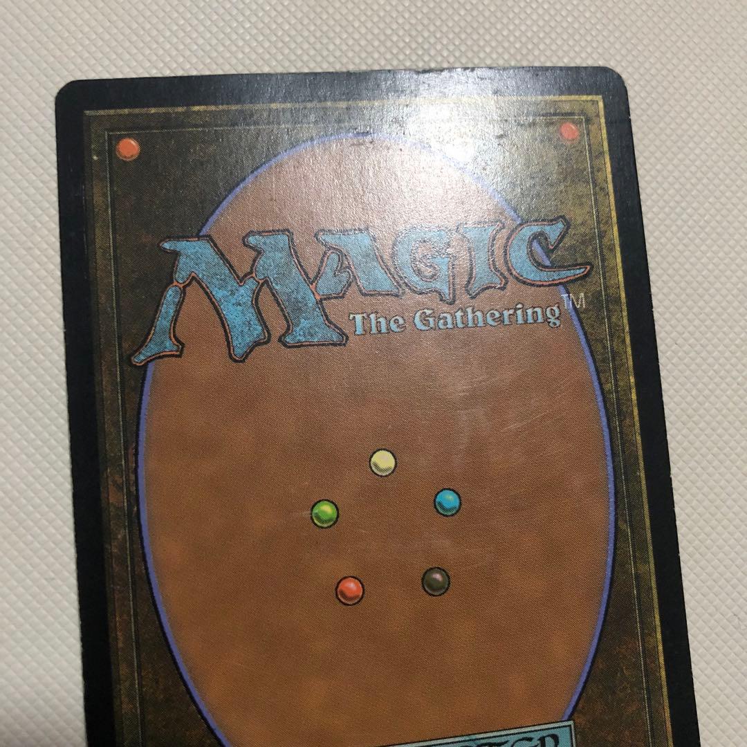 思考囲い ロシア語 4枚 mtg ローウィン LRW 他言語