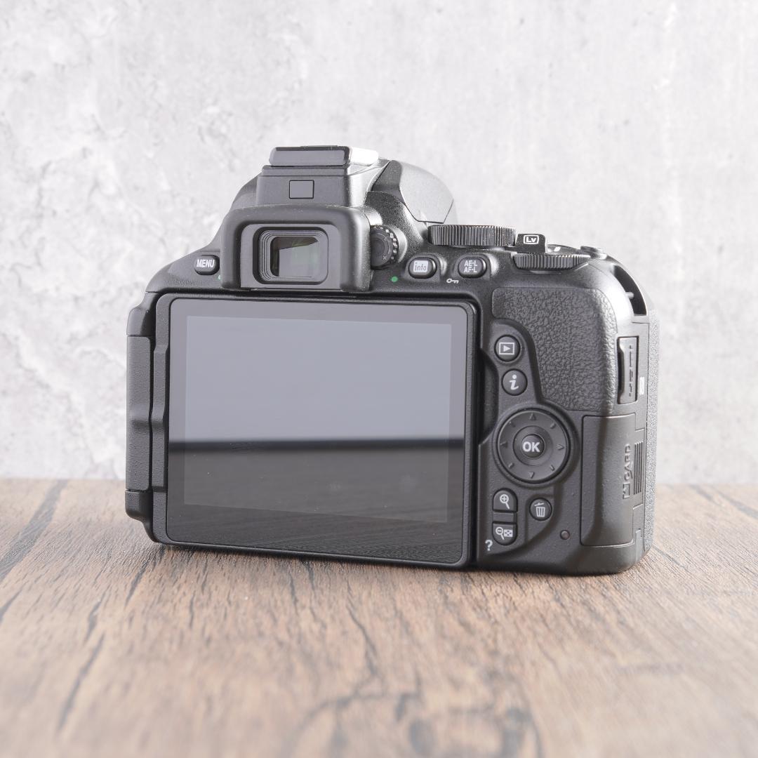 おまけなし！✨ショット数3949回で美品✨Nikon D5600　738-1