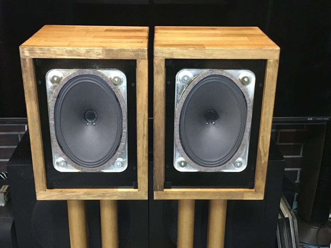 Telefunken 究極システム プロ用最高峰 シングルフルレンジの凄み！